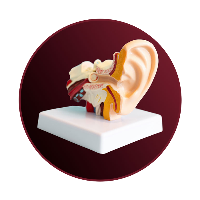 Brampton Hearing Aids - Dementia Resources - Hearing Aids, Hearing ...